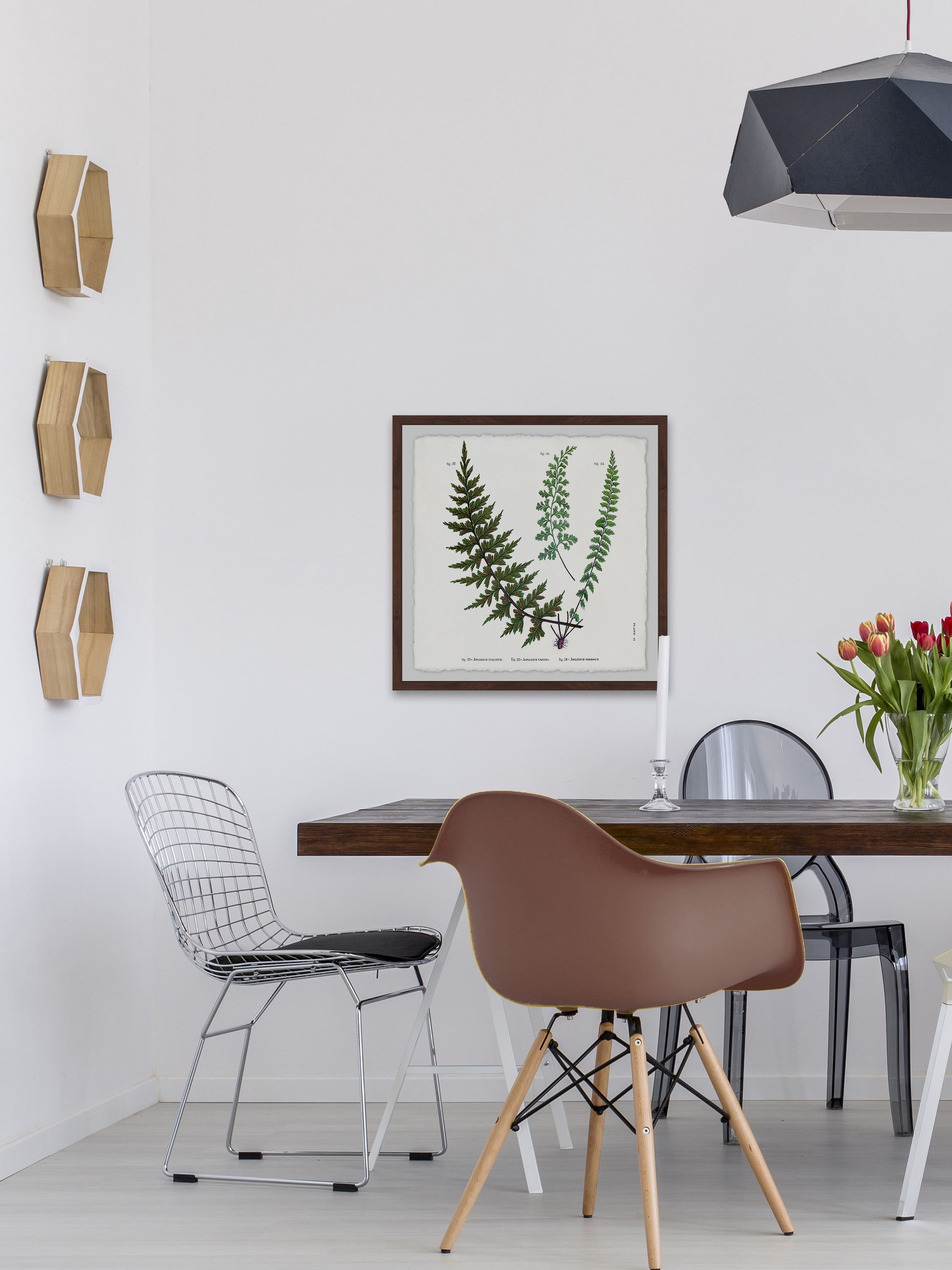 Indian Ferns Framed Painting Print