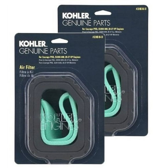 Kohler 2 Pack de Filtres de Remplacement d'Oem d'Origine 3288303-S1-2PK