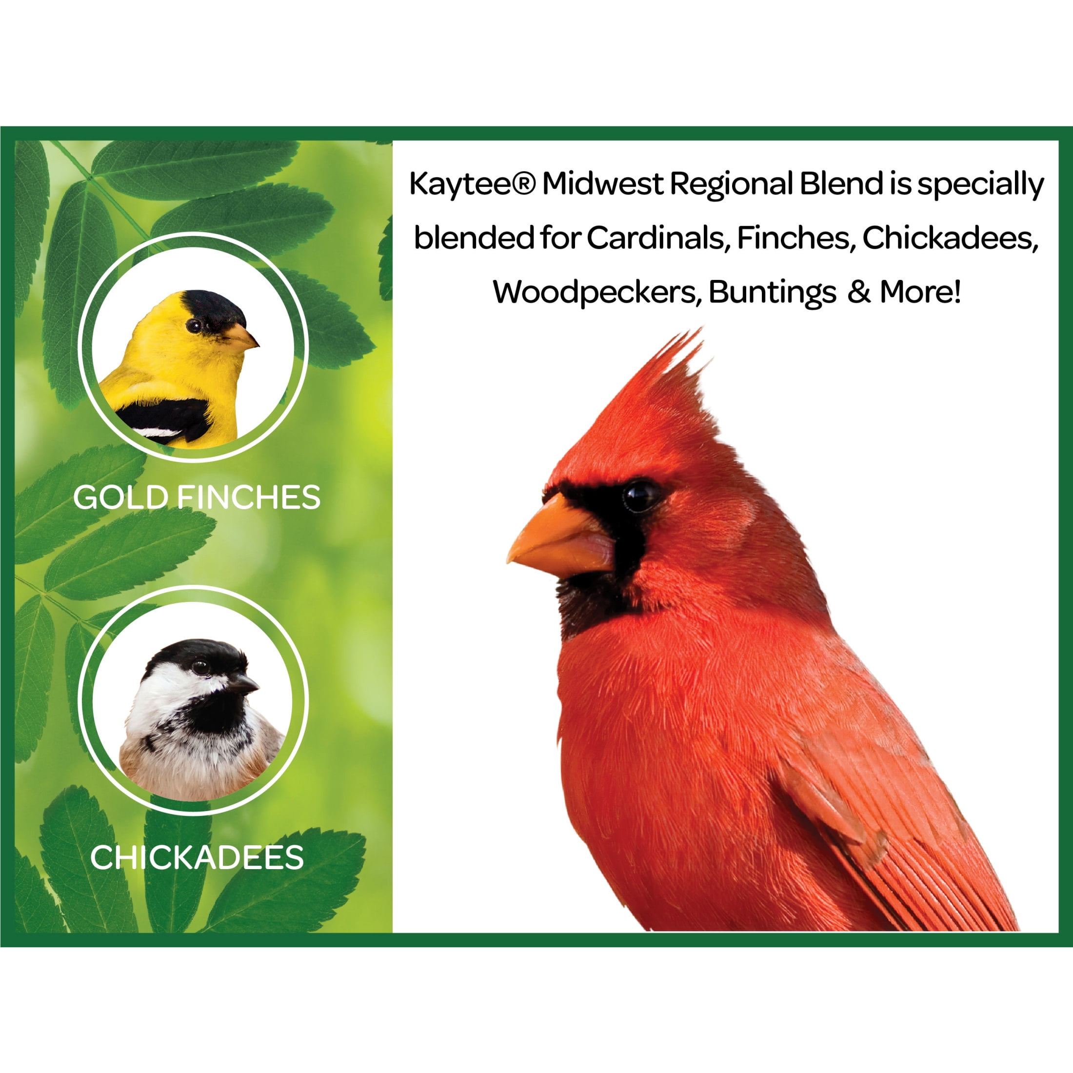 (4 pack) Kaytee Midwest Regional Blend, Dry Wild Bird Feed and Seed, 10 lbs. 1 Pack