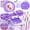 Purple, variant on PERRYHOME Kids Makeup Kit for Girl, Washable Makeup Set for Little Girls, Cosmetic Set Pretend Play Makeup Toy Beauty Set Christmas & Birthday Gift Princess Toys for 3 4 5 6 7 8 9 10 11 12 Year