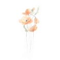 thumbnail image 2 of Vess, June Erica 25x32 White Modern Wood Framed Museum Art Print Titled - Delicate Bouquet IV, 2 of 4