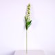 thumbnail image 4 of Ramo de flores de simulación de lirio de los valles artificial de 5 cabezas para decoración del hogar (blanco), 4 of 4