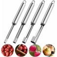 thumbnail image 1 of 4 Pieces Corer and Pitter Multi-Function Fruit Corer and Pitter Remover Set Stainless Steel Pear Corer Pitter 4 Sizes for Home Kitchen, Pear, Cherry, Jujube and Red Date, 1 of 4