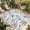 White Blue Brown, variant on Blue Brown Spring Floral Outdoor Rug for Patio/Deck/Porch, Non-Slip Large Area Rug 5 x 8 Ft, Summer Botanical Art Indoor Outdoor Rugs Washable Area Rugs, Reversible Camping Rug Carpet Runner
