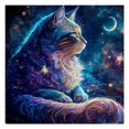 thumbnail image 1 of Cuadros Decorativos Bordado completo Hilo de algodón ecológico 11CT Impreso Starry Sky Cat Kit de punto de cruz Wdftyju de costura negro 4 estilos, 1 of 1