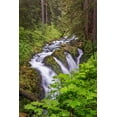 thumbnail image 2 of Jones, Adam 11x14 White Modern Wood Framed Museum Art Print Titled - Sol Duc River and Falls-Olympic National Park-Washington State, 2 of 4