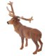 thumbnail image 3 of Masculina Detallada De Los Animales Ciervo Animal Hora De Cuentos Apoyos Sunnimix Modelo animal, 3 of 8
