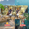 thumbnail image 5 of 1 Pcs 2D Flat License Plate Covers & Frames, Two Donkeys Peeking For Decorative Front, Waterproof For Decoration Aluminum License Plate Covers & Frames Cover For Men Women, 12" X 6", 5 of 7