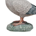 thumbnail image 3 of Creative Co-Op Pastoral Perch Resin Pigeon, Multicolor, 3 of 3