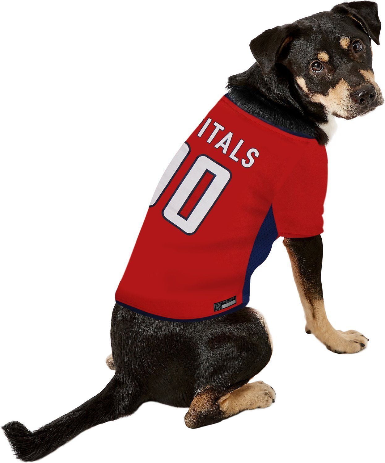 Capitals dog jersey deals