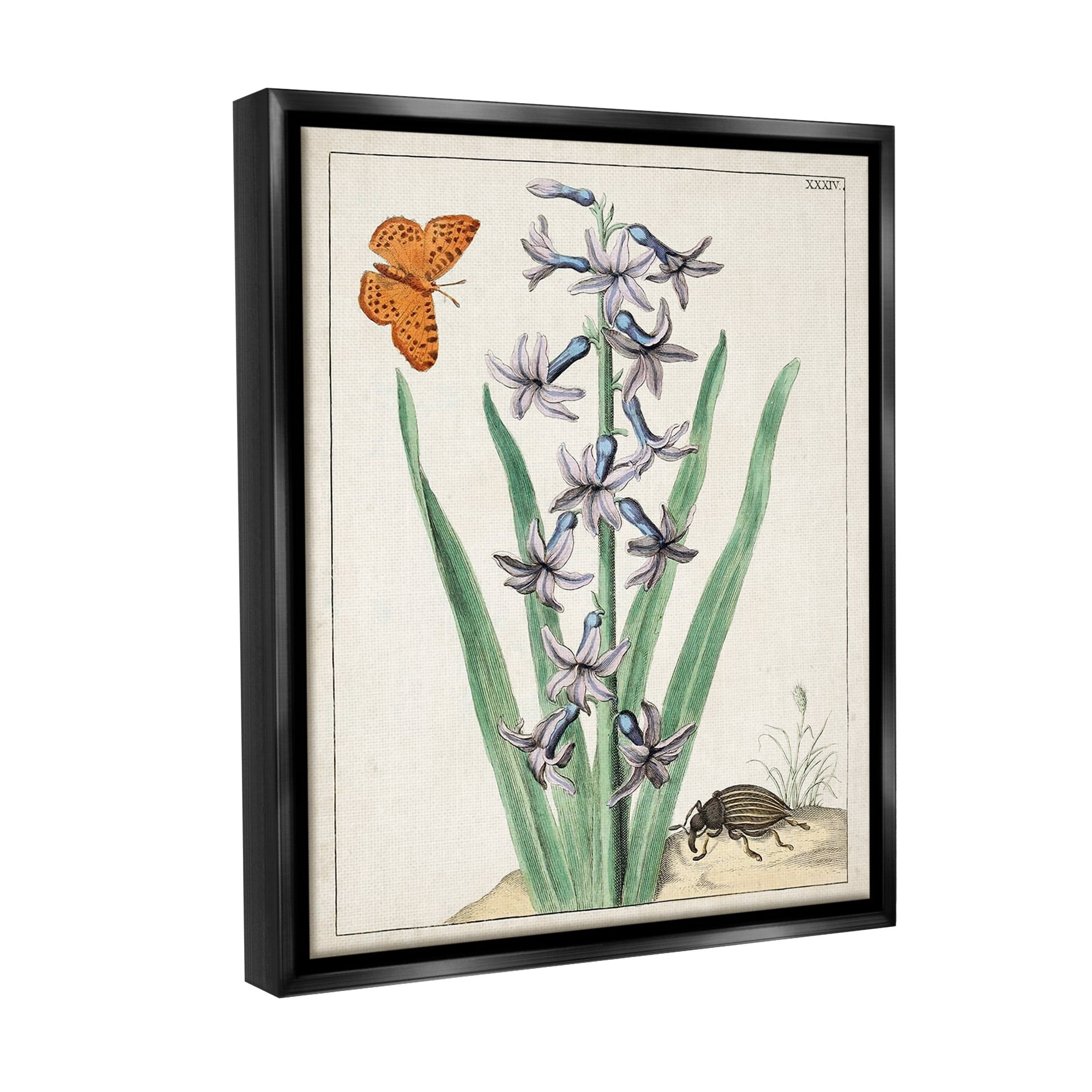 Stupell Industries Vintage Plant & Beetle Botanical & Floral Painting Black Floater Framed Canvas Art Print Wall Art, 25 x 31