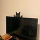 thumbnail image 4 of Adorno decorativo de gato negro - Figura de arte de pared de gato divertido - Regalos de gato negro perfectos para exhibir en el escritorio - Amantes de los gatos artísticos, 4 of 5