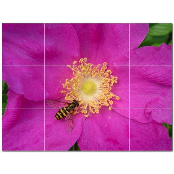 Flower Photo Ceramic Tile Mural Kitchen Backsplash Bathroom Shower 404898-L43