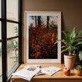thumbnail image 6 of Orange Light - Photography Autumn Nature Botanical Scenic Forest Woodland Oak Framed Wall Art Print 24 x 36 inches, 6 of 59