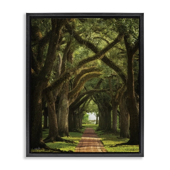 Stupell Industries Transitional Shadowed Tree Grove Black Floating Frame Canvas Art, 17 x 21, by Martin Podt