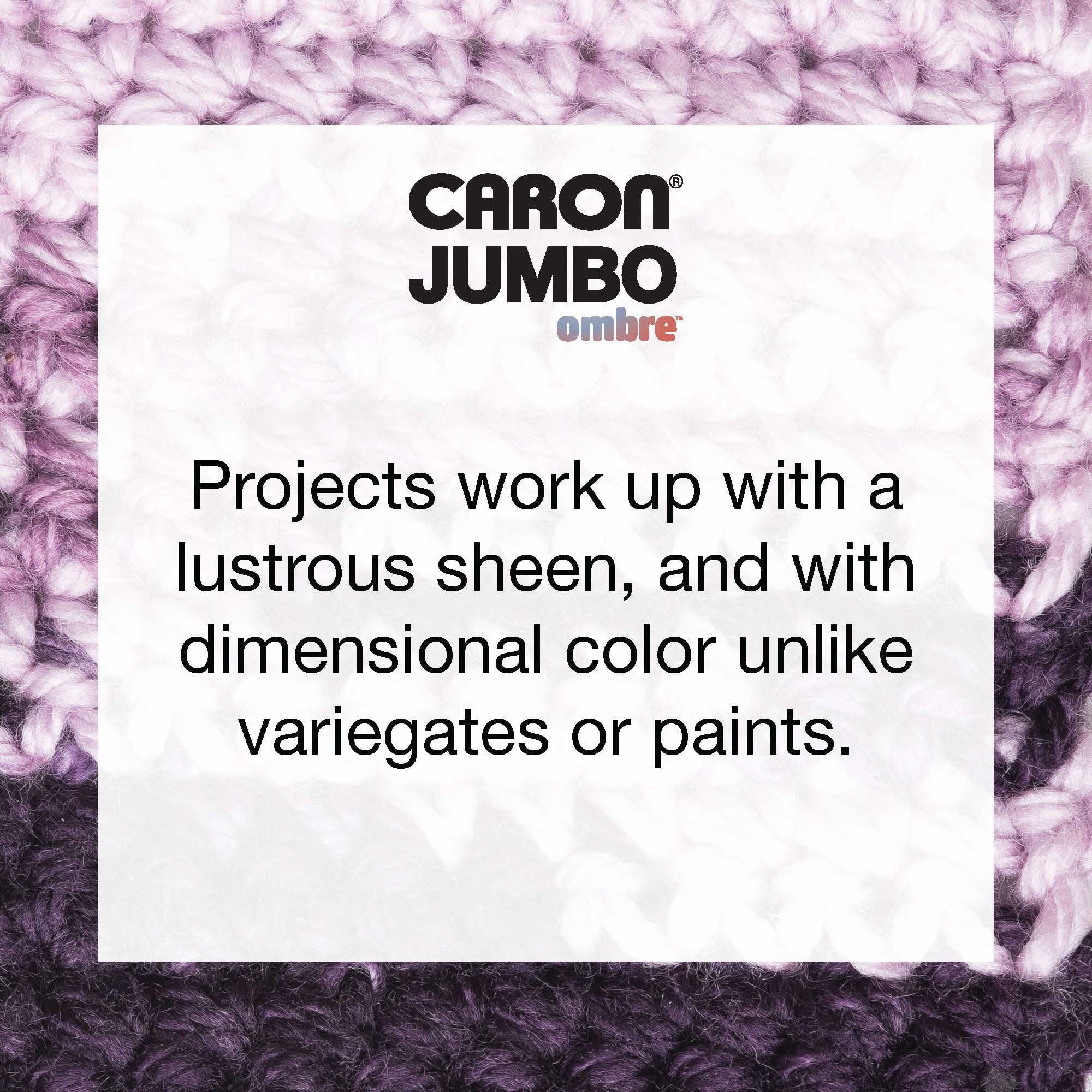 Caron® Simply Soft® Ombre™ #4 Medium Acrylic Yarn, Grape Purple Ombre 5oz/141g, 235 Yards (12 Pack)