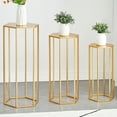 thumbnail image 1 of UWR-Nite 27.55" Set of 3 Metal Plant Stand, Nesting Display End Table High Hexagon Rack Indoor Flower Holder Corner Planter Pot Rack Living Room & Patio Decor, 1 of 5