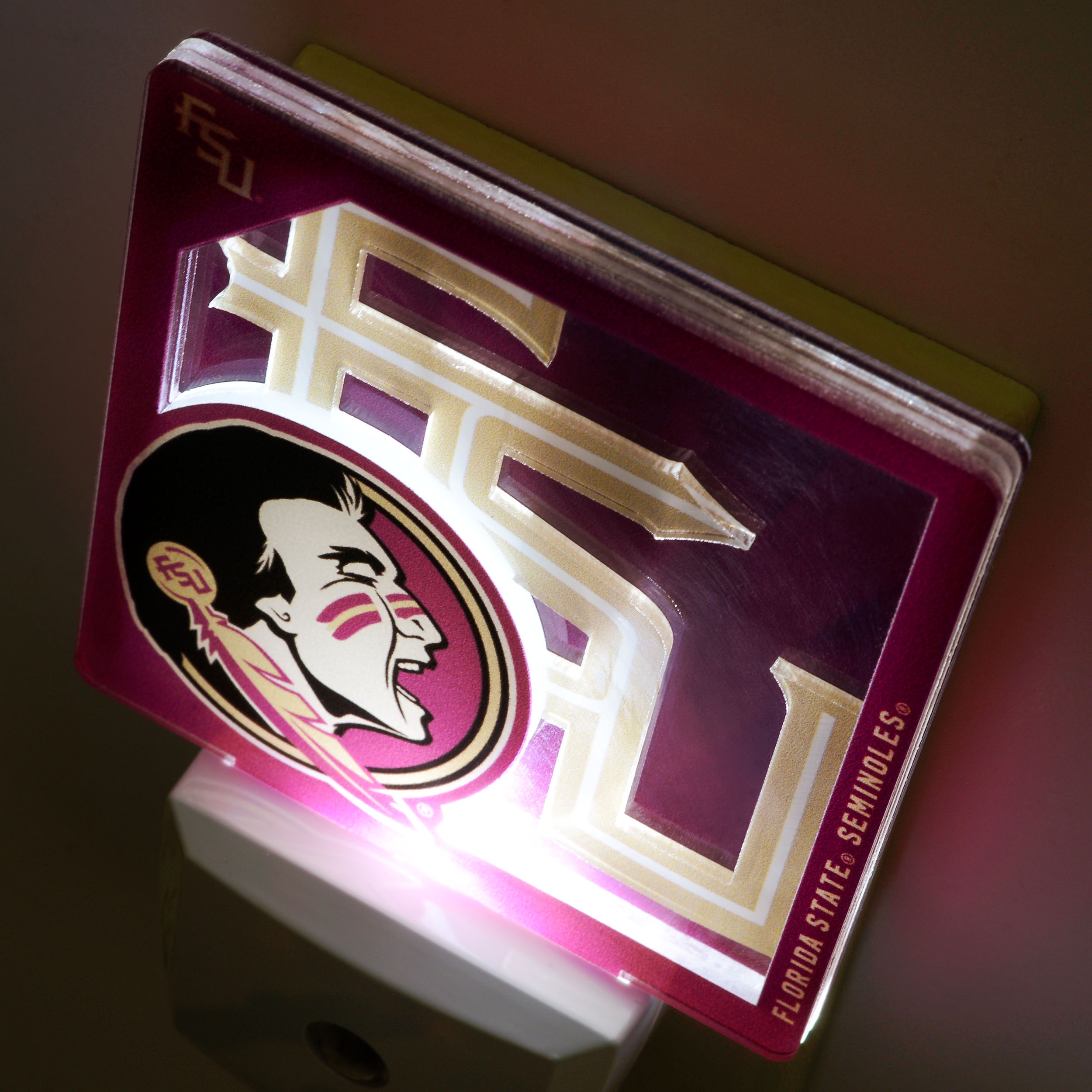 Florida State Seminoles Logo Series Nite Light