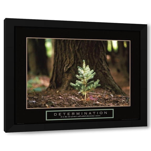 Frontline 14x12 Black Modern Wood Framed Wall Art Titled - Determination - Little Pine