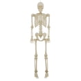 thumbnail image 5 of Way To Celebrate 5 ft Poseable LED Illuminated Skeleton Halloween Decoration, 5 of 6