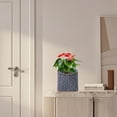 thumbnail image 4 of kyusrd Home Office Decor Specials!Imitation Rattan Flower Stand Triangular Support Flowerpot Indoor Desktop Potted Storage Container Office Woven Pot, 4 of 6