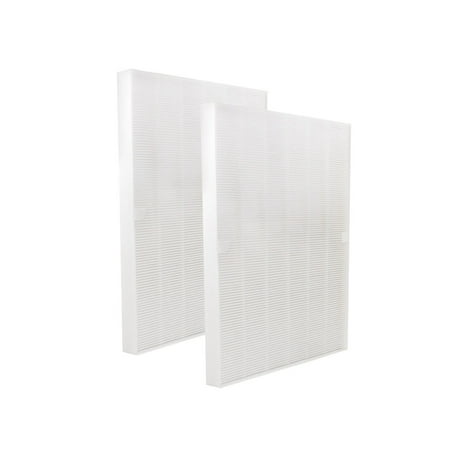 2 Replacement True HEPA Filter for Winix 115115 Size 21 Fits Plasma Wave WAC5000, 6000, and 9000