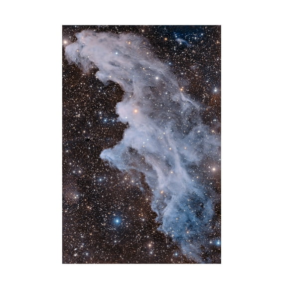 Trademark Fine Art Vikas Chander The Witch Head Nebula Canvas Wall Art