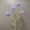 Purple, variant on Clearance Artificial flowers under $5,Faux Pompon Mum Artificial Flowers Rustic Chrysanthemums With Stems For Wedding Filler DIY Bouquet Centerpieces Terracotta Arrangements Decorations