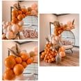 thumbnail image 6 of Double Stuffed Burnt Orange Balloons Birthday Decoration Vintage Theme Graduation Thanksgiving Party Decor Orange Cream Peach Apricot Balloons Set, 6 of 14