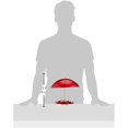 thumbnail image 4 of Birds Choice Hummerdome Mangeoire à Nectar 8oz. avec Kit de Protection contre les Intempéries, 4 of 4