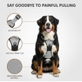 thumbnail image 4 of Nallwabiu No Pull Dog Harness Adjustable Vest with a Training Handle, Pocket, Easy to Put on & Take Off, With dog leash, 4 of 6