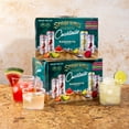 Seagram's Escapes Cocktails Margarita Flavored Malt Beverage Variety