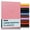 Cambridge Flamingo, variant on Harbor Large Monthly Planner 2027, Calendar Planner and Notebook, Durable Faux Leather, 14 Months, 96 Pages, Softcover & Lightweight - Key West Dark Purple - 9.75x7.5"