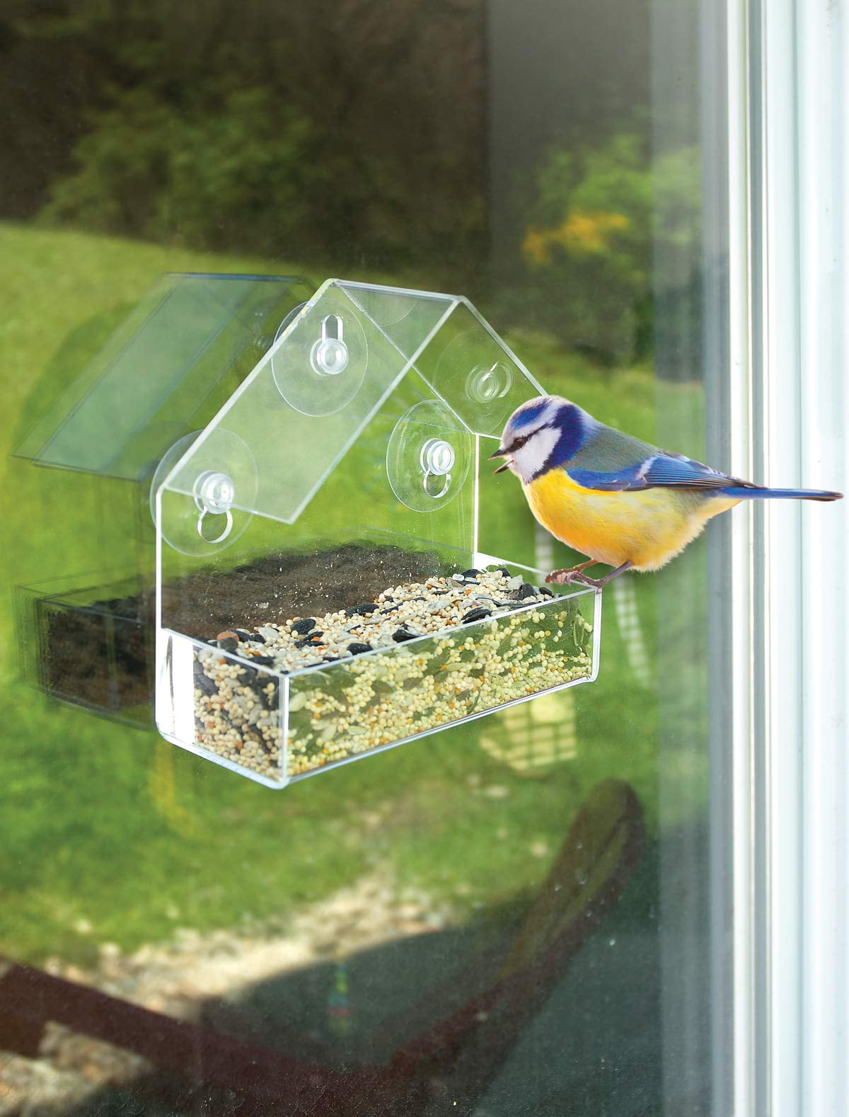 Window Bird Feeder with Strong Suction Cup for Fun and Amusing Bird Watching - Clear Bird Feeder for Any Room Window