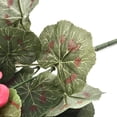 thumbnail image 2 of Ruibeauty Plante Artificielle Géranium Rouge Rose Plantes Artificielles Fleur Artificielle, 2 of 6