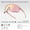 Begonia red/Light gray photochromic full pink, variant on ROCKBROS Cycling Sunglasses Fashion and Colorful Anti-fog Transparent Sungglasses Polarized Cycling Unisex Sport UV400