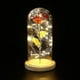 thumbnail image 3 of Eternal Rose, Romantic Rose Flowers Beauty And The Beast Rose Kit Night Lamp Party Wedding Decor Valentine's Day Wedding Gift (red) -zmd, 3 of 5