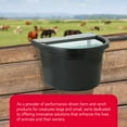 thumbnail image 5 of Little Giant 4 Gal. Float Controlled Waterer Livestock Water Trough (2 Pack), 5 of 10