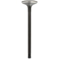 thumbnail image 5 of DNJ EV420 Exhaust Valve Fits Cars & Trucks 97-04 Ford Mercury Escort Focus 2.0L L4 SOHC 8v, 5 of 5