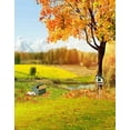 thumbnail image 1 of BSDHOME Polyester 5x7ft Automne Arbre Jaune Herbe Toiles de Fond Accessoires Photo Studio, 1 of 2