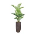 thumbnail image 1 of Vintage Home Artificial Faux Real Touch 71" Tall Real Touch Palm Tree And Fiberstone Planter, 1 of 1