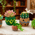 thumbnail image 4 of Succulent Needle Felting Kit, DIY Wool Felt Kit, Includes Materials and English Instructions, Ideal Craft for Beginners, Home Decor, and Unique Present, 4 of 5