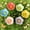 6 Pcs, variant on 2026 Flower Bee Drinking Station for the Garden, Insect Drinking Station Bee Bar Water Drinker, Blossom Gardens Stake Garden Gift Feeding Bowl