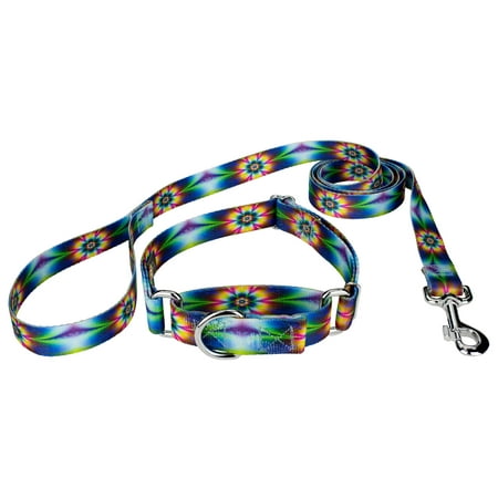 UPC: 0671839046226 | Country Brook Petz® 5/8 inch Tie Dye Flowers Martingale Dog Collar and Leash  Small