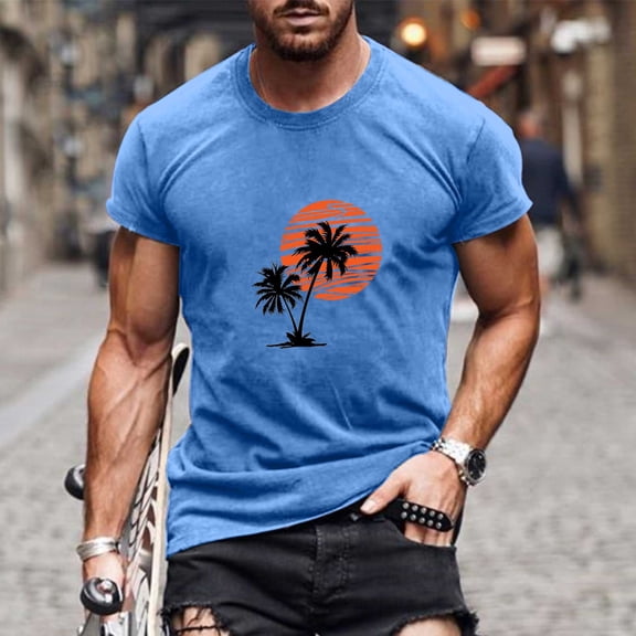 Fnnxeal Mens Graphic Tee Gray Vintage T Shirts Retro Sunset Surf Beach Casual Summer Top Soft Cotton Crewneck,Size 3XL