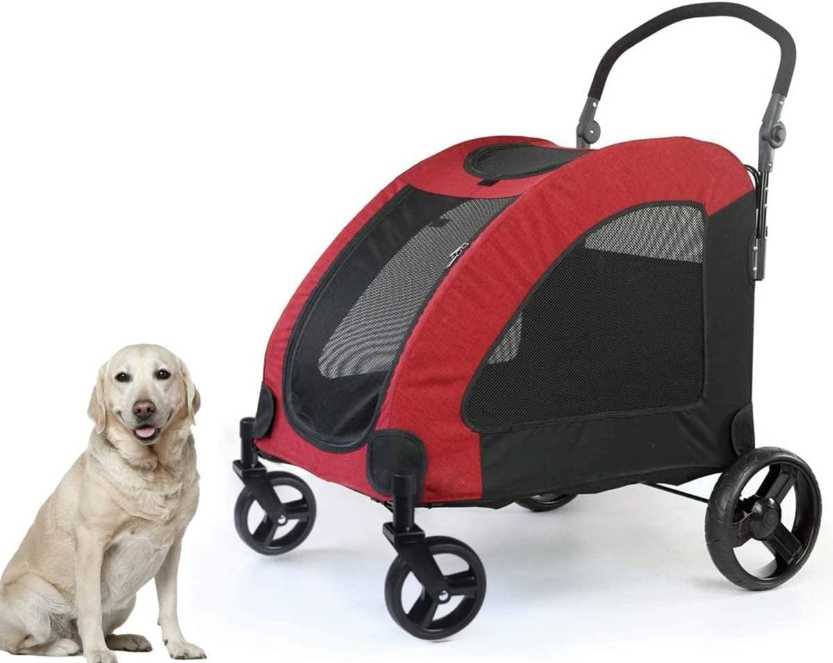 How Do You Walk A Dog With A Stroller