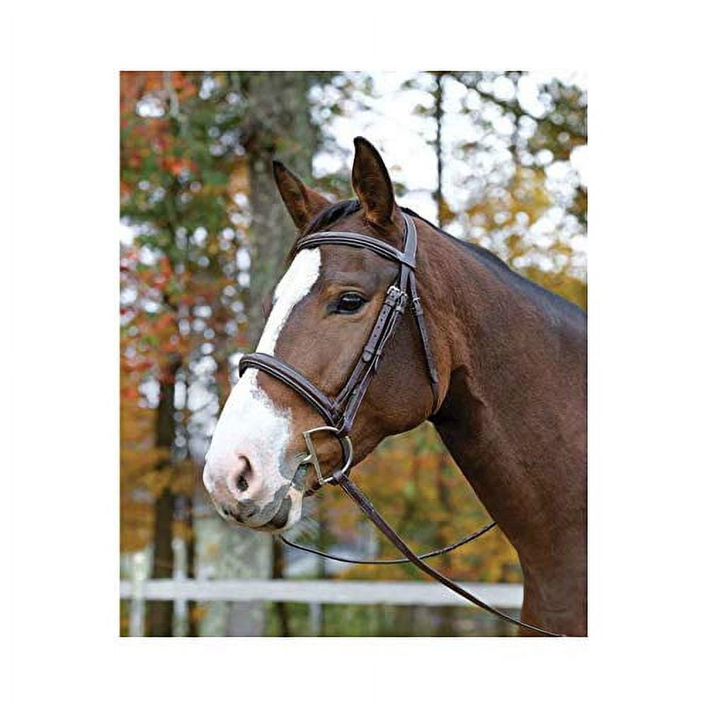 Shires Equestrian Avignon Nashville Bridle - Thumbnail 5