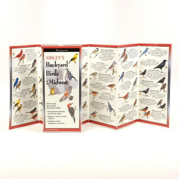 Sibley's Backyard Birds of the Midwest
