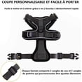 thumbnail image 2 of Cat Harness And Leash For Walking, Escapeproof Adjustable Vest Harnesses For Cats, Breathable Reflective Strips Jacket, 2 of 5