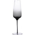 thumbnail image 2 of Aroma360 Hotel Collection Smoke Stem Champagne Glasses Smoky Black Champagne and Coupe Flutes to Elevate Every Special Moment that Calls for Sparkling Wine 4 Glasses 4 Glasses Champagne, 2 of 4